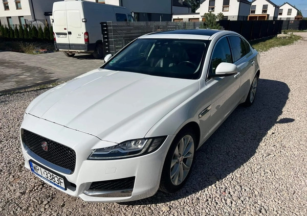 Jaguar XF cena 77000 przebieg: 132000, rok produkcji 2017 z Chocianów małe 37